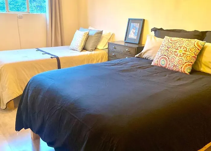 Amazing Cozy Apartment In Condesa