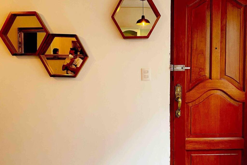 Amazing Cozy In Condesa Appartement